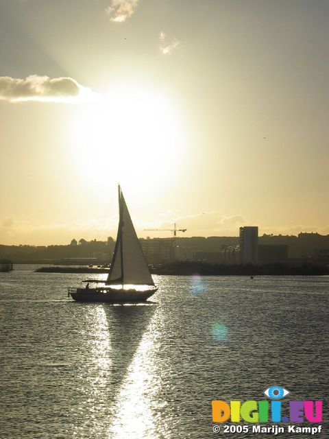 15337 Sailboat in the sun